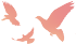 Basic Principles of HTTP in Testing Development Training