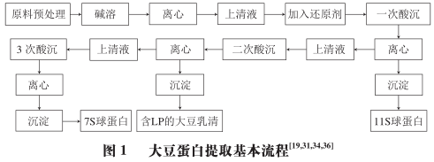 Research Progress on Soy Protein Component Preparation and Functionality