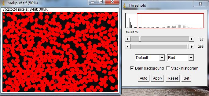 Unlocking Various Technical Skills in ImageJ