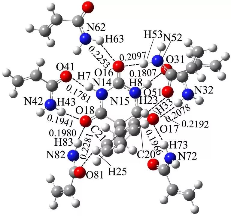 Theoretical Research on Self-assembled Phenobarbital and Acrylamide Systems