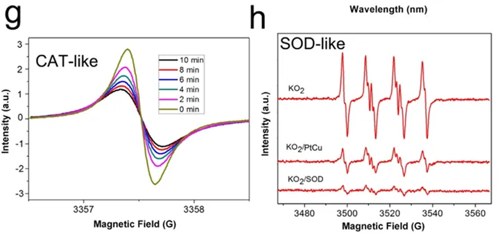 Principles and Applications of Electron Paramagnetic Resonance (EPR) Testing
