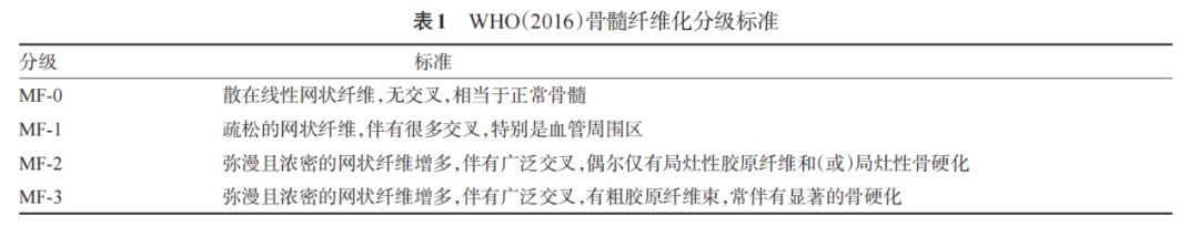 Guidelines for Diagnosis and Treatment of Primary Myelofibrosis in China (2019 Edition)