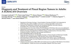 Diagnosis and Treatment of Pineal Region Tumors in Adults: A EURACAN Overview