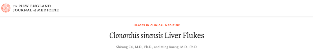 Fatty Acid Metabolism Characteristics in Clonorchis sinensis Related Intrahepatic Cholangiocarcinoma