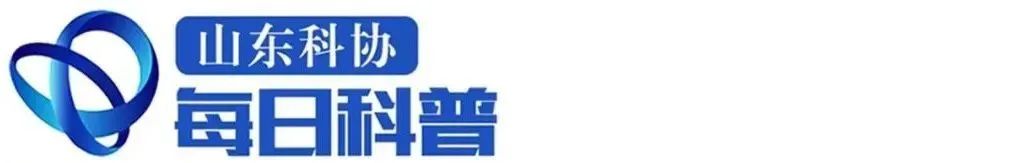 Why Is Bluetooth Called 'Blue' Tooth?