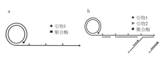 Molecular Diagnosis Technology Comprehensive Analysis Trilogy
