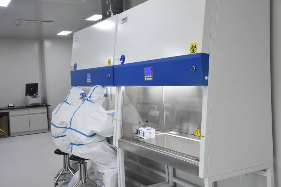 Essential Tests for Endometrial Cancer - POLE Gene Testing