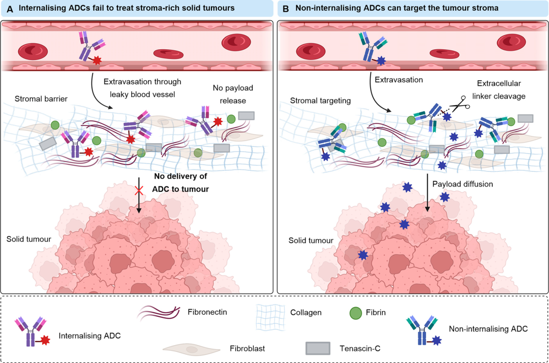 Another Bright Path for ADC Development - Non-Internalizing ADC