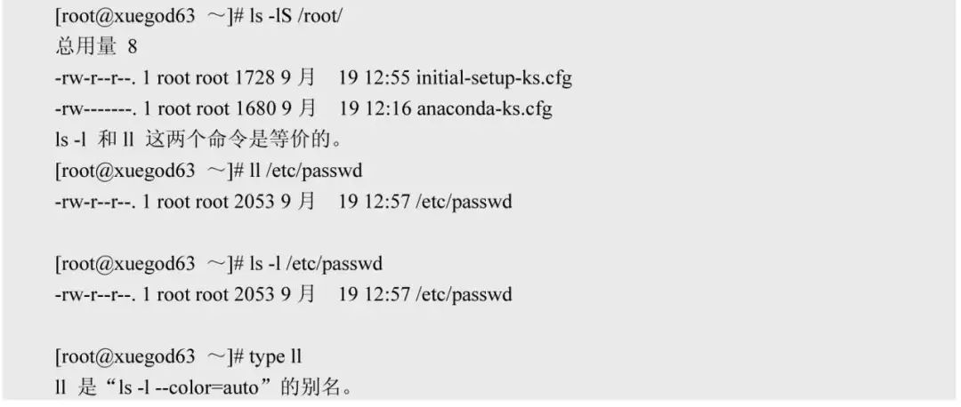 Mastering Linux Basics: Essential Commands (Part 2)