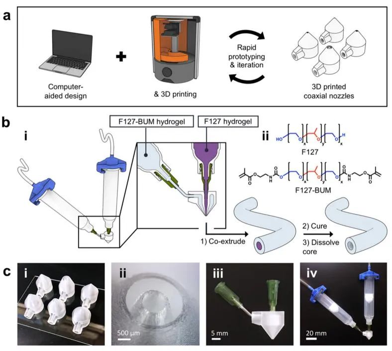 Bioprinting of Vascularized Tissues: A Comprehensive Review