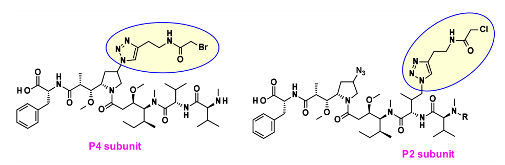 Overview of Antibody-Drug Conjugates (ADCs)