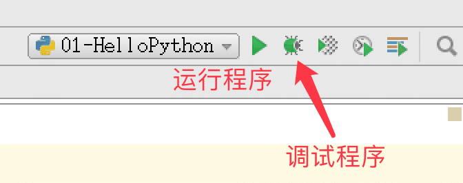 Essential Python Basics: Your Guide to Getting Started