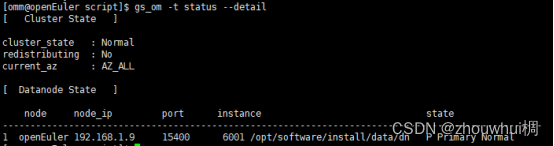 How to Install openGauss on openEuler (ARM Architecture)