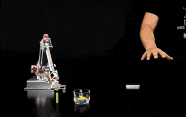 A Detailed Analysis of Robot Operation Principles