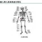 In-Depth Report on Humanoid Robot Industry: AI Rising, Mass Production Imminent