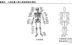 In-Depth Report on Humanoid Robot Industry: AI Rising, Mass Production Imminent