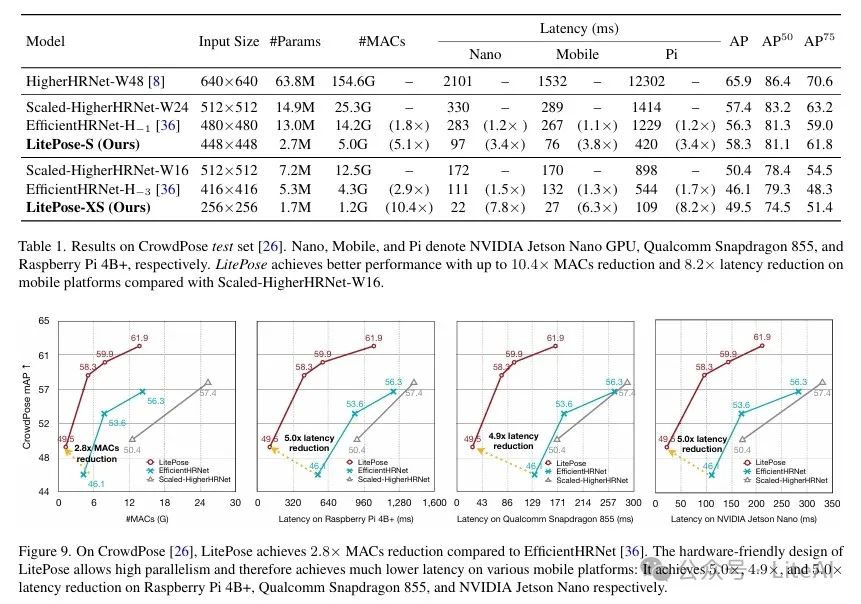 Efficient Pose Estimation Inference with LitePose