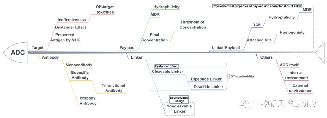 Key Considerations in ADC Design Based on Pharmacokinetics