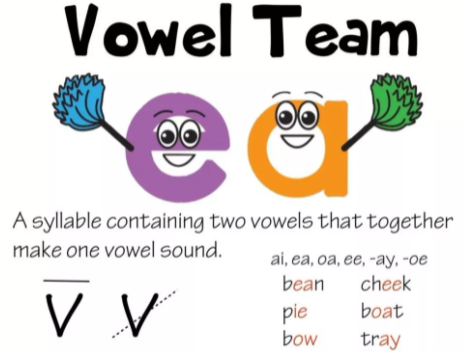 Understanding Syllables in English Words