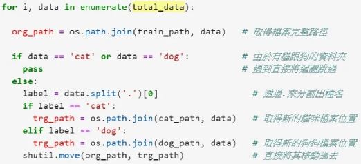 Building a Simple Cat-Dog Classifier with NVIDIA Jetson Nano