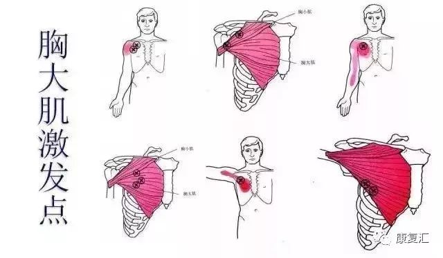 Detailed Guide to Shoulder Joint Physical Examination for Rehabilitation