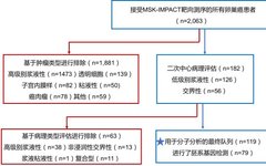 Molecular Markers of Low-Grade Serous Ovarian Cancer