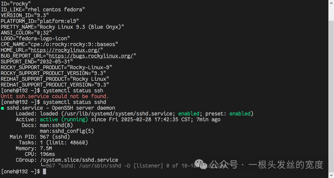 Automated Docker Deployment Script on Rocky Linux 9