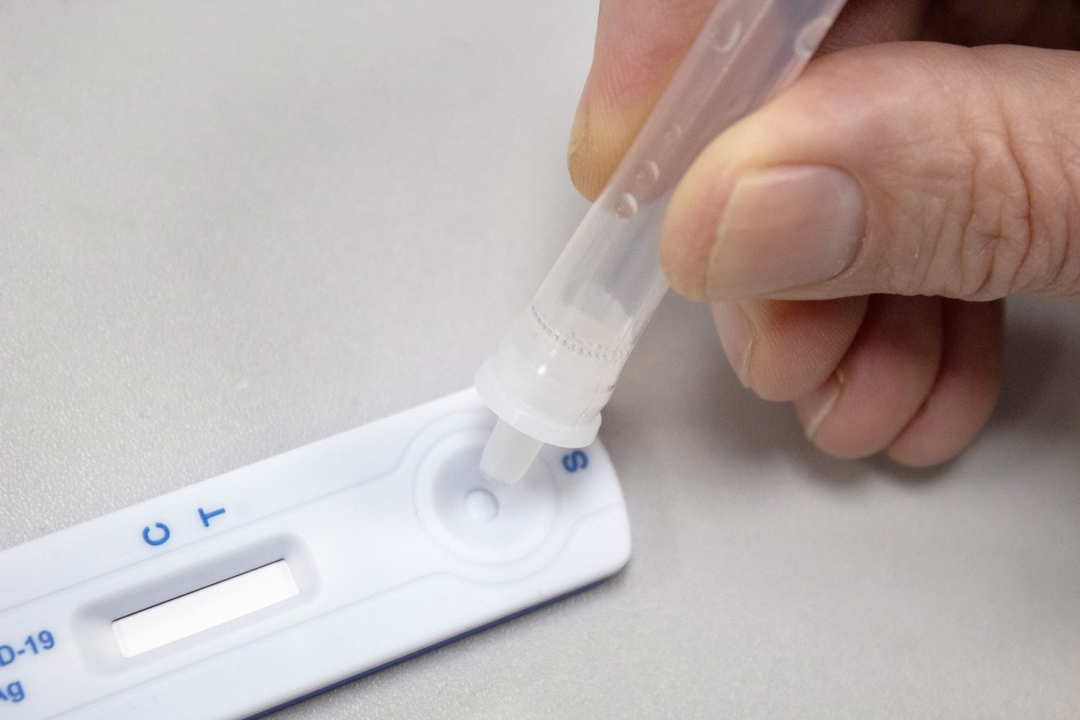 What Do C, T, and S Mean on Antigen Test Kits?