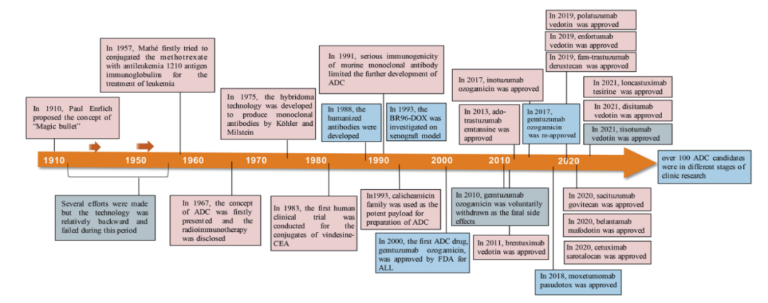 ADC Technology Report: Forecast of Next-Generation ADC Development