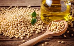Research Progress on Soy Protein Component Preparation and Functionality