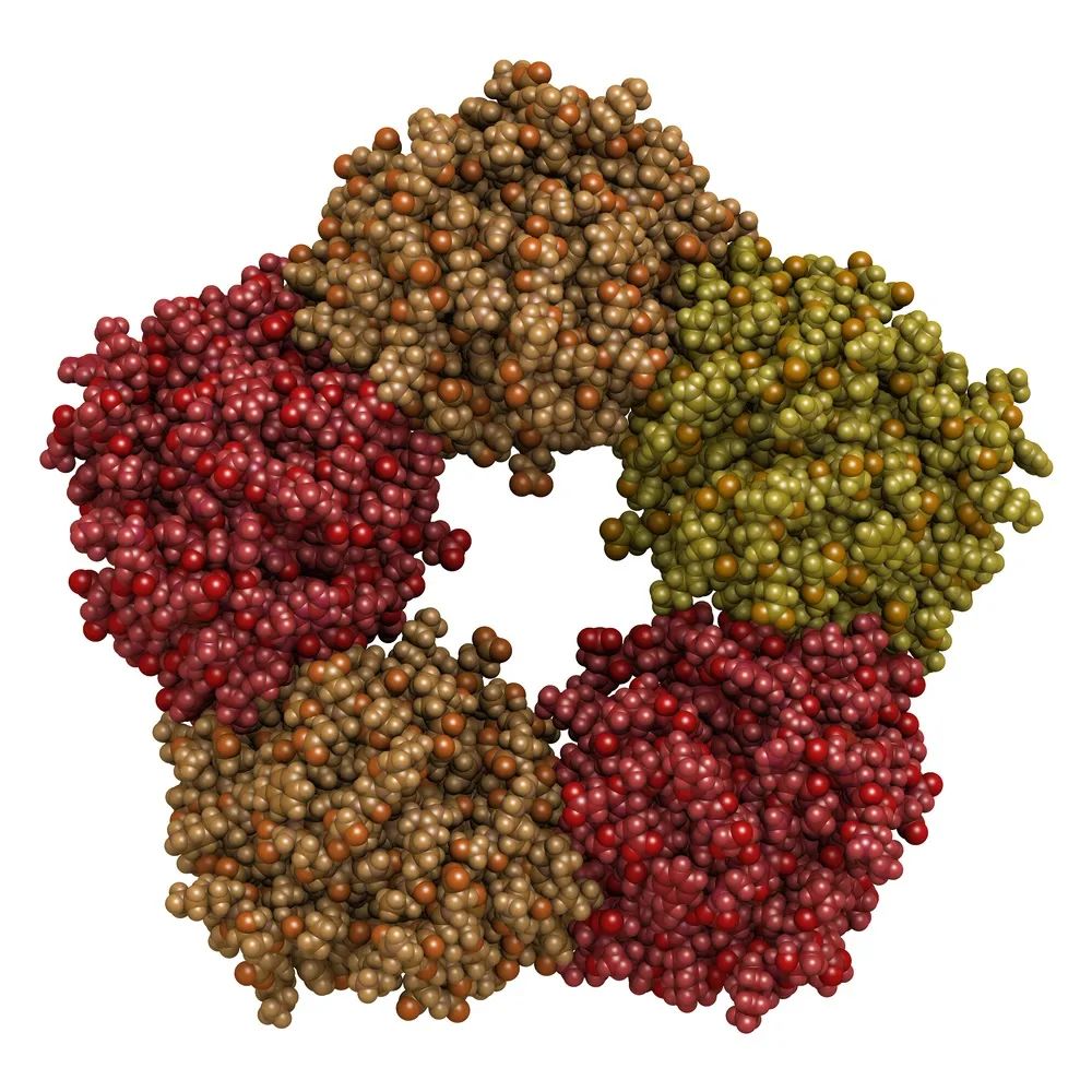 Detailed Interpretation of Common Infection Markers: CRP, PCT, and More