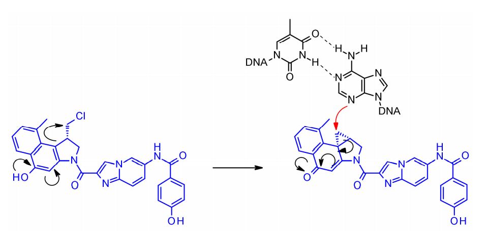 Overview of Antibody-Drug Conjugates (ADCs)