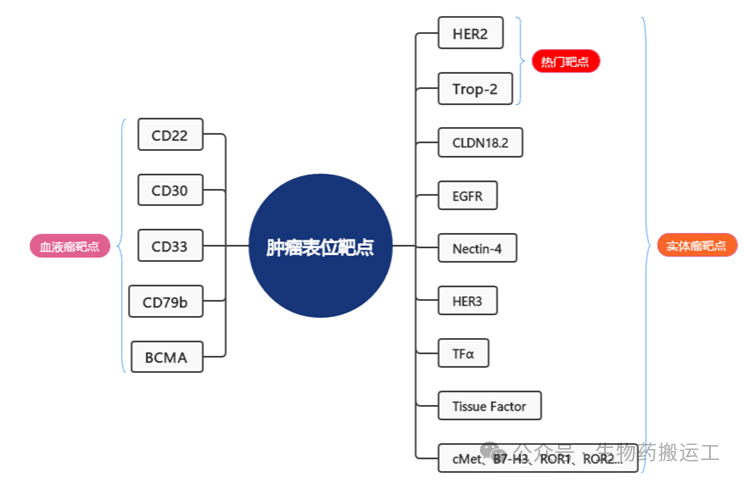 A Journey into ADC Innovation