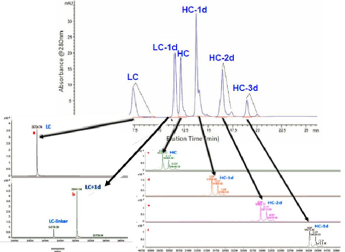 Characterization Techniques for Antibody Drug Conjugates (ADCs)
