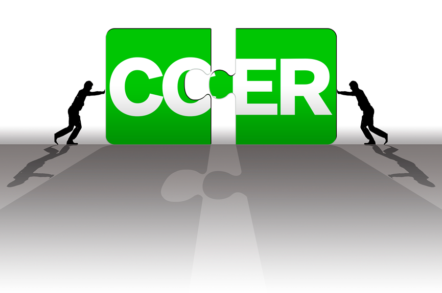 Introduction to Domestic and International Voluntary Emission Reduction Types: CDM, GS, VCS, ACR, CCER