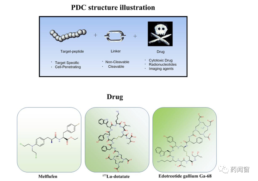 Another Domain of Drug Conjugation: PDC