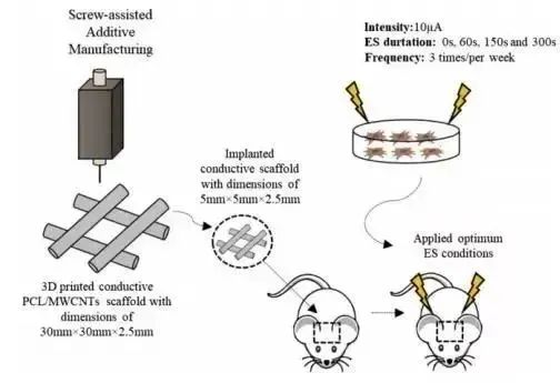 Bioprinting of Vascularized Tissues: A Comprehensive Review