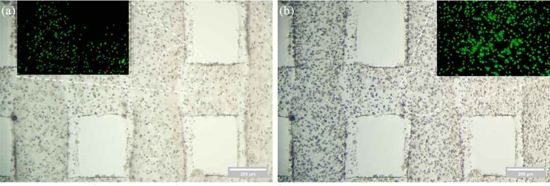 3D Bioprinting of Complex Biological Structures with Tunable Properties