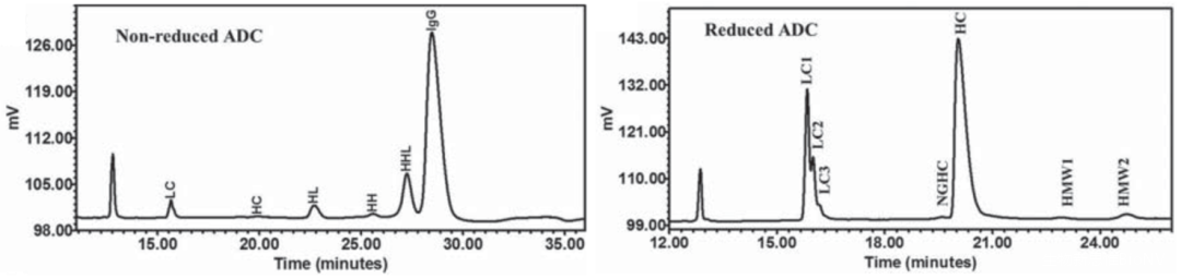 Characterization Techniques for Antibody Drug Conjugates (ADCs)