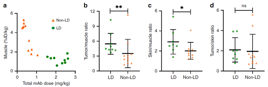 Bottlenecks in ADC Drug Efficacy