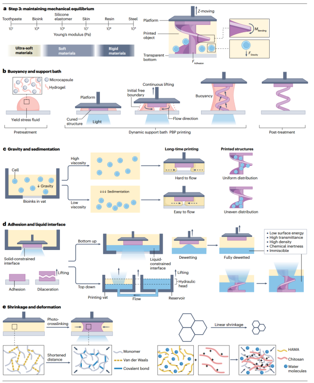 High-Resolution Projection-Based 3D Bioprinting Review