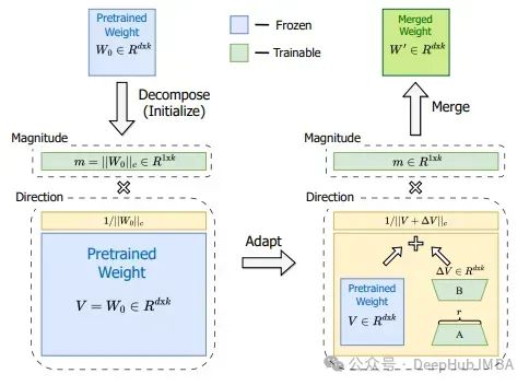 Overview of LoRA and Its Variants: LoRA, DoRA, AdaLoRA, Delta-LoRA
