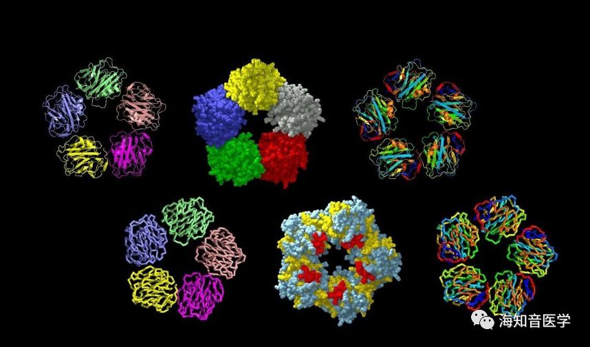 Differences Between C-Reactive Protein and High-Sensitivity C-Reactive Protein