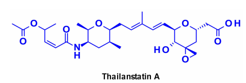 Overview of Antibody-Drug Conjugates (ADCs)