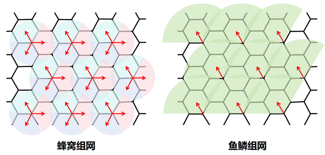What Is Scaled Networking?