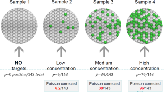 Molecular Diagnosis Technology Comprehensive Analysis Trilogy