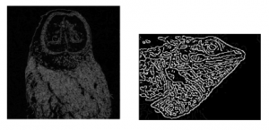 Comprehensive Guide to Edge Detection Algorithms