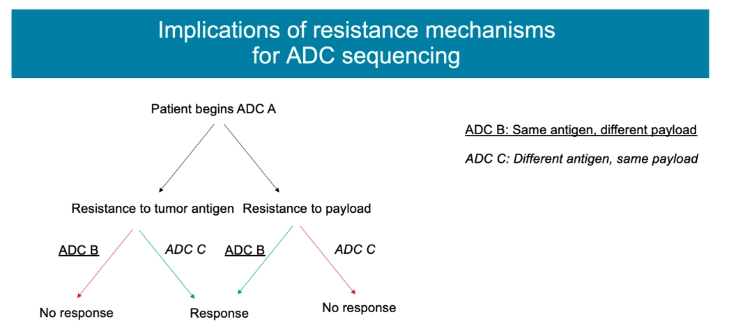 Detailed Explanation of ADC Resistance Mechanisms