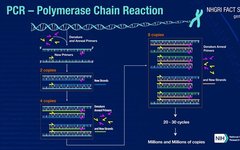 Molecular Diagnosis Technology Comprehensive Analysis Trilogy