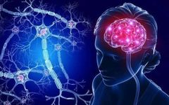 Neurosurgery Robotics: An Overview